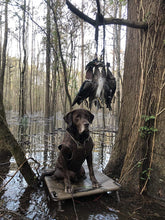 Load image into Gallery viewer, DynoGoods Game Carrier, Duck Carrier, 12 Drops, Slip Knot